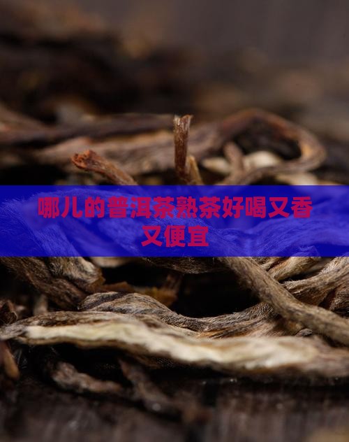 哪儿的普洱茶熟茶好喝