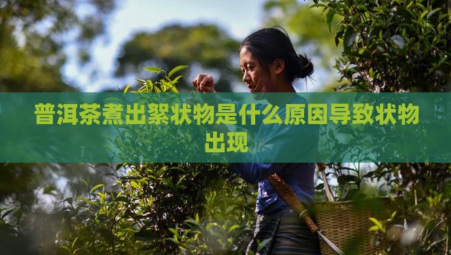 普洱茶煮出来有团状物是什么