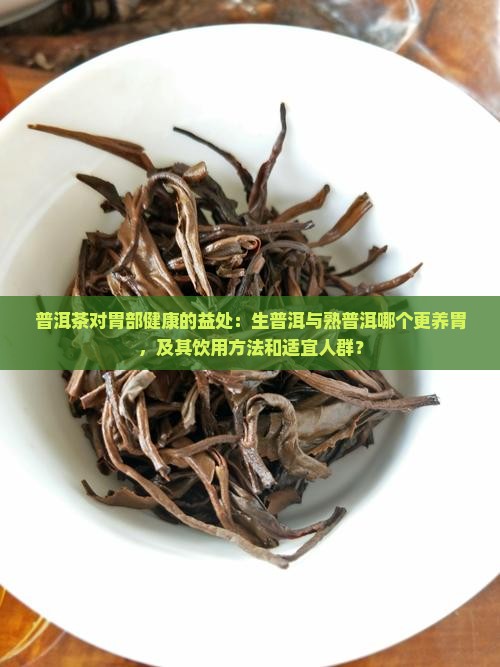 普洱茶是生普还是熟普养胃