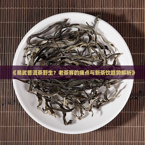 易武普洱茶野生