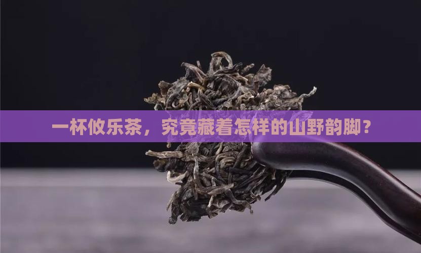 攸乐茶韵普洱茶