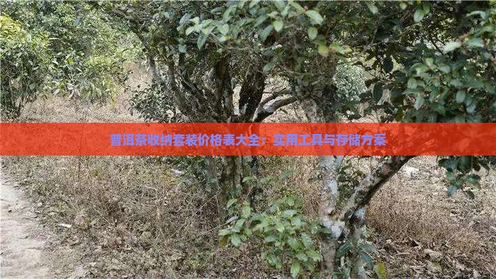 普洱茶收纳套装价格表大全