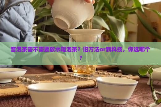 普洱茶需不需放水箱泡茶