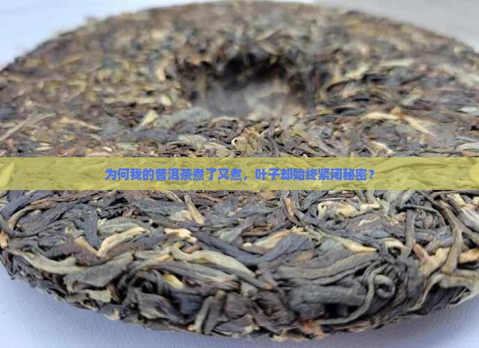 普洱茶怎么煮不开叶