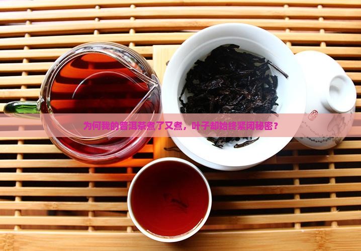 普洱茶怎么煮不开叶