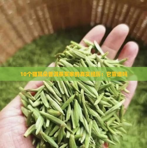 猫耳朵普洱茶有作假的吗