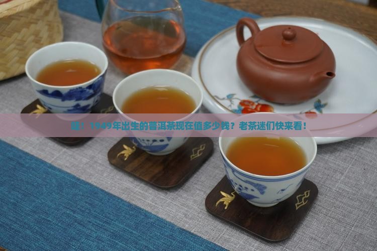 华诞1949普洱茶多少钱