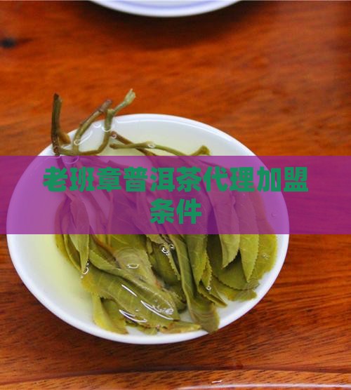 龙岩老班章怎么代理