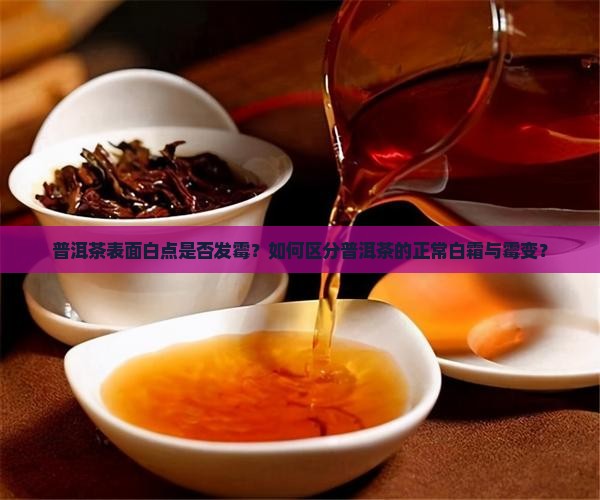 普洱茶上的白点是不是发霉