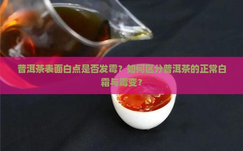 普洱茶上的白点是不是发霉