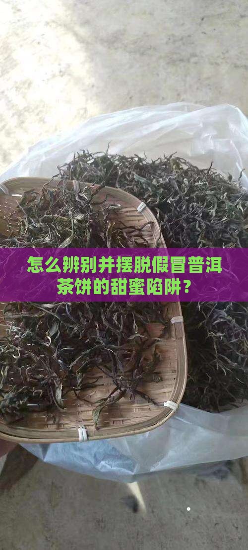 假冒普洱茶饼怎么处理