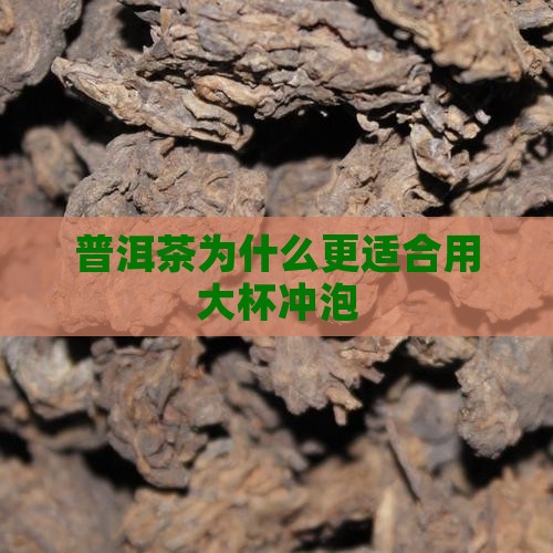 普洱茶为什么要用大杯子