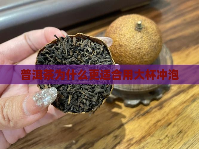 普洱茶为什么要用大杯子