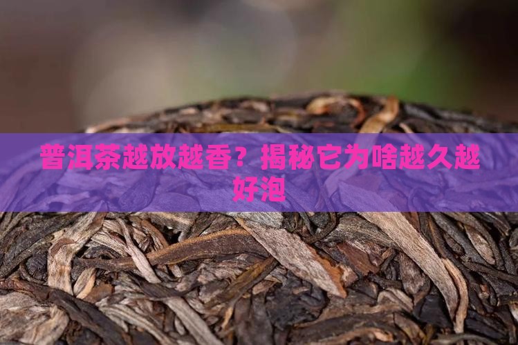 普洱茶为什么放越久越好泡