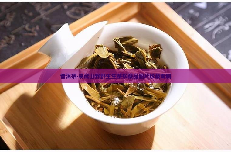 易武正山野生茶珍藏品