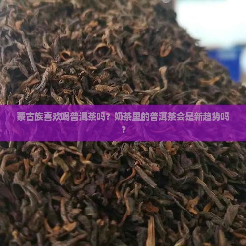 蒙古族喜欢喝普洱茶吗