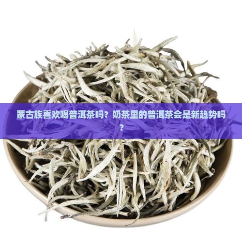 蒙古族喜欢喝普洱茶吗