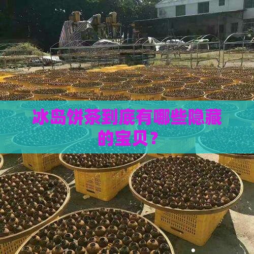 冰岛饼茶有什么品种