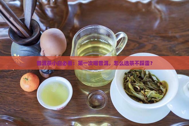 新手喝哪种普洱茶