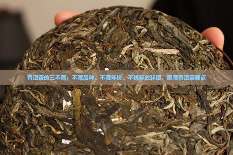 普洱茶的三不藏