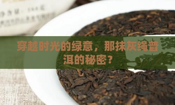 02绿大树灰绳普洱茶