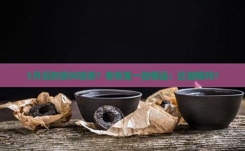 5月以后的茶算什么茶