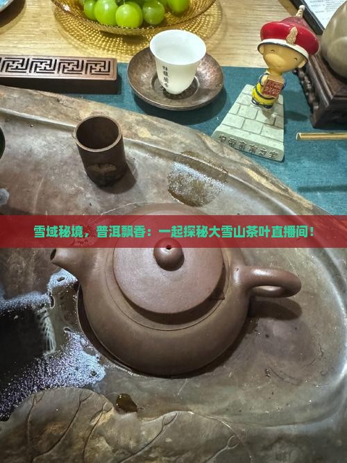 大雪山普洱茶直播间