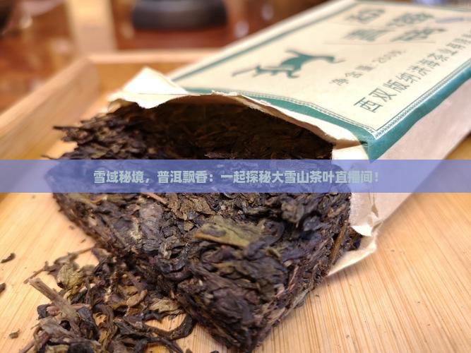 大雪山普洱茶直播间