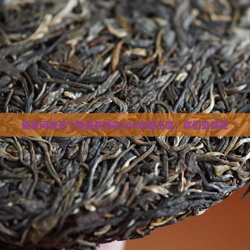 一个普洱茶饼多钱一斤