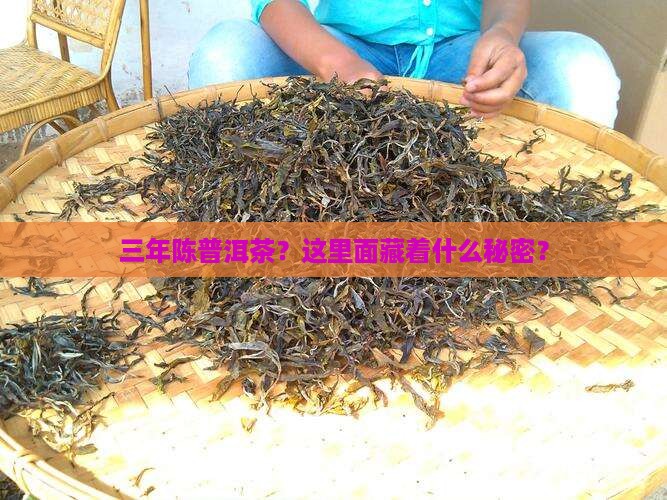 三年陈普洱茶什么意思