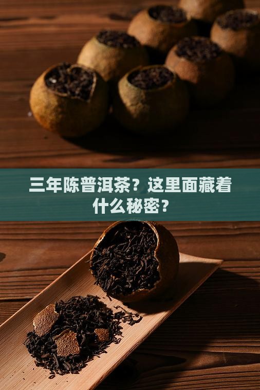 三年陈普洱茶什么意思