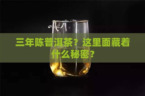 三年陈普洱茶什么意思
