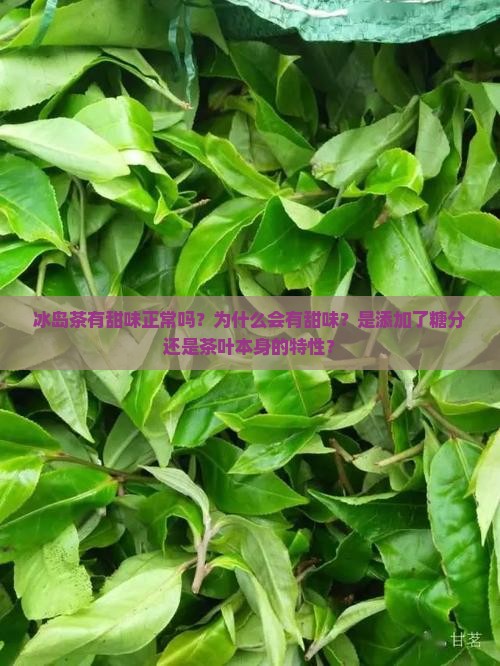 冰岛茶有甜味正常吗