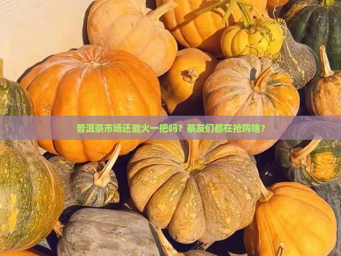 普洱茶还有的炒吗