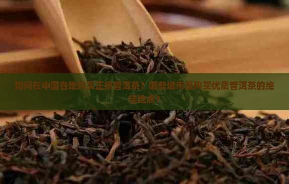 正宗普洱茶去哪个城市买