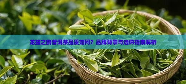 龙益之韵普洱茶