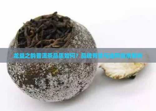 龙益之韵普洱茶