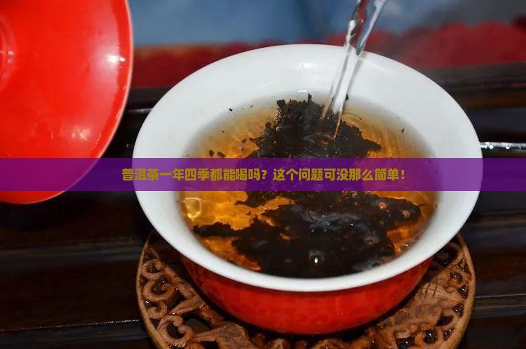 普洱茶什么季节都可以喝吗