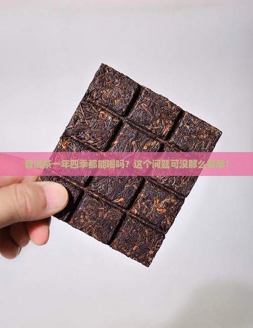 普洱茶什么季节都可以喝吗