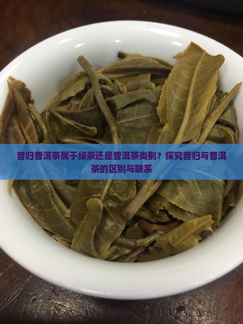 昔归茶是绿茶吗