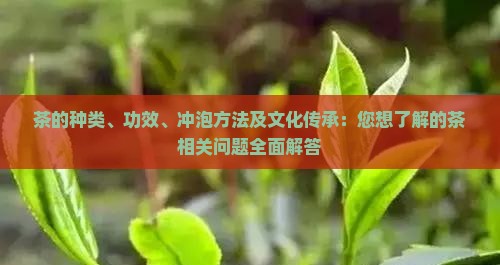 关于茶的问题有哪些