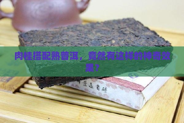 肉桂加熟普洱茶功效