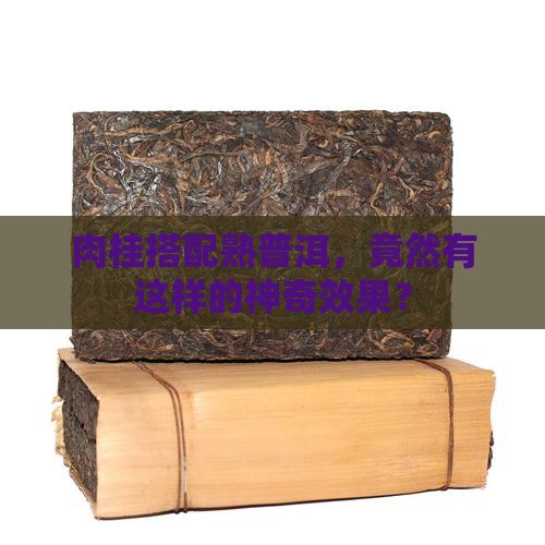 肉桂加熟普洱茶功效