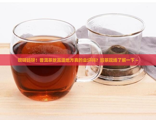 普洱茶保存温度高温会坏吗