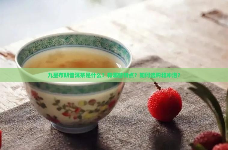 九星布朗普洱茶 九星布朗普洱茶