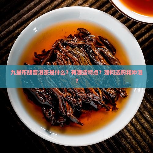 九星布朗普洱茶 九星布朗普洱茶