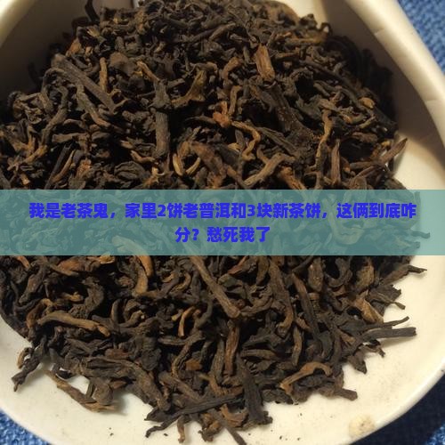 新老普洱茶怎么看