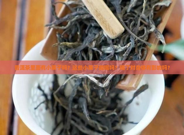 普洱茶里面有小果子吗能喝吗