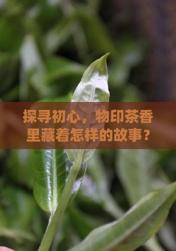 物印初心茶是什么茶