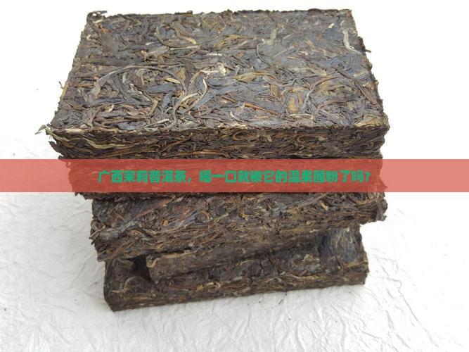 广西茉莉普洱茶怎么样